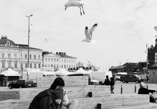 Birds