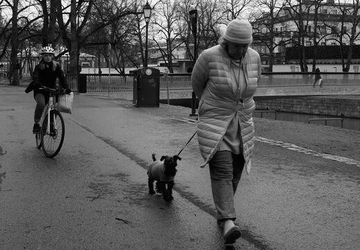 People with dogs